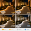 Ruban LED Néon disponible en 2700K 3000K 4000K et 6500K