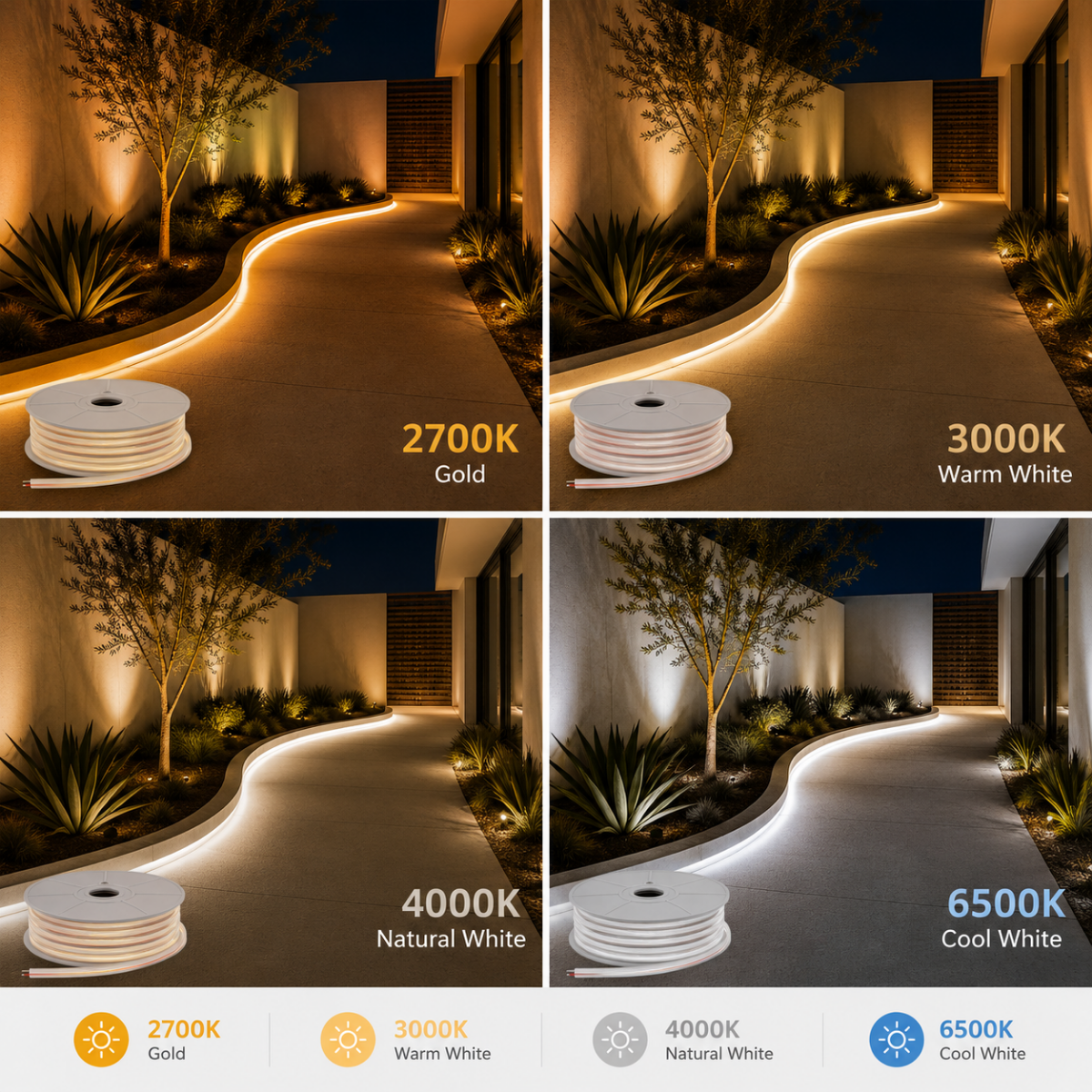 Ruban LED Néon disponible en 2700K 3000K 4000K et 6500K