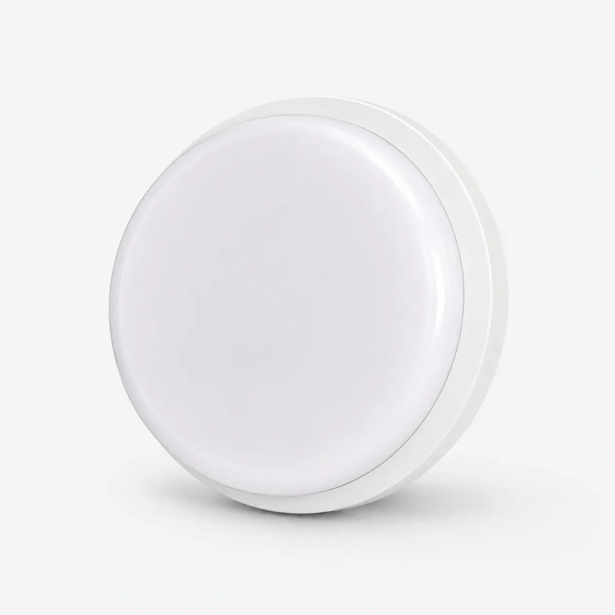Hublot LED rond blanc 24W 6500K IP65