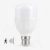 Lampe détecteur de mouvement LED 10W 6500K