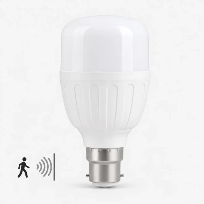Lampe détecteur de mouvement LED 10W 6500K